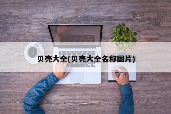贝壳大全(贝壳大全名称图片)