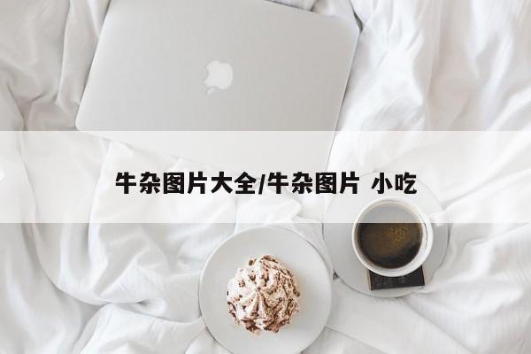 牛杂图片大全/牛杂图片 小吃