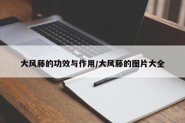 大风藤的功效与作用/大风藤的图片大全