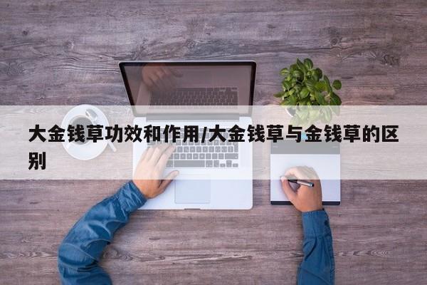 大金钱草功效和作用/大金钱草与金钱草的区别