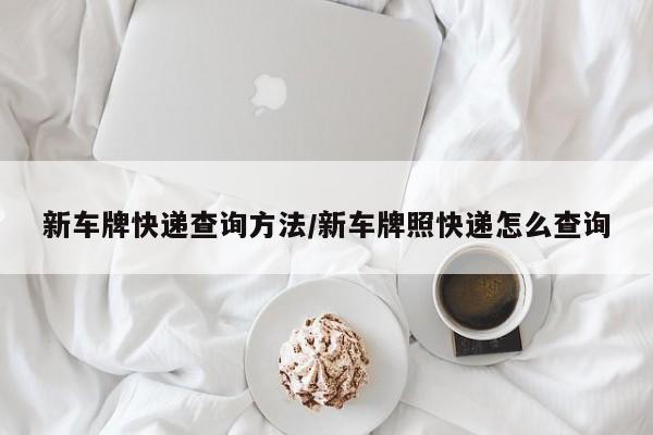新车牌快递查询方法/新车牌照快递怎么查询