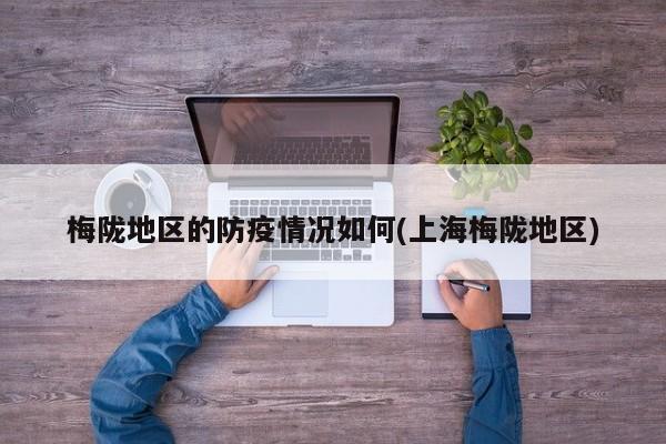 梅陇地区的防疫情况如何(上海梅陇地区)