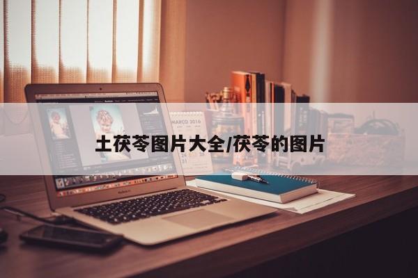 土茯苓图片大全/茯苓的图片