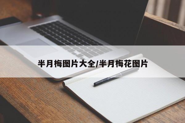 半月梅图片大全/半月梅花图片