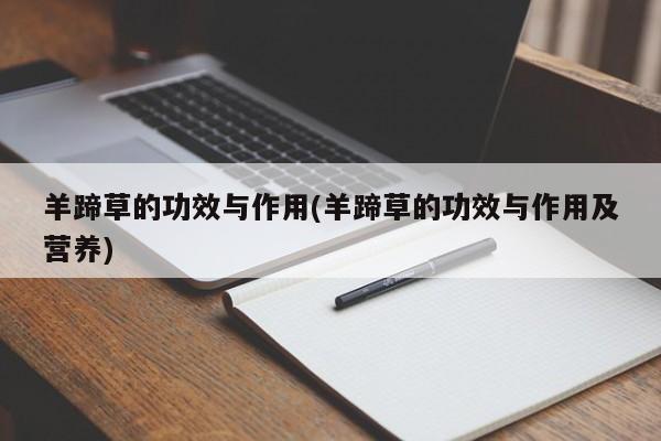 羊蹄草的功效与作用(羊蹄草的功效与作用及营养)